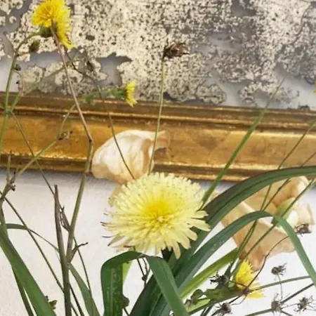 Appartement Antica Dimora Del'600 Centro Storico Castagneto Carducci